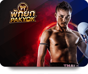 Explore the Best Bonuses at SBOTOP Casino Royal Casino